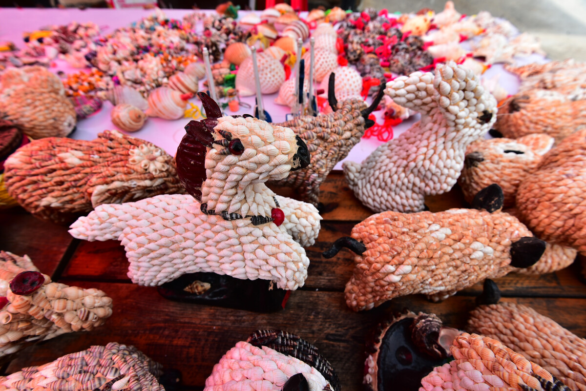 海島村貝殼工藝品的設(shè)計與創(chuàng)作之道